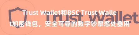 Trust Wallet和BSC Trust Wallet加密钱包，安全可靠的数字钞票惩处器用