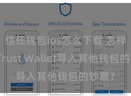 信任钱包ios怎么下载 怎样通过Trust Wallet导入其他钱包的钞票？